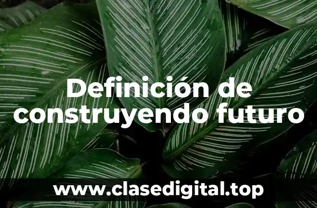 Definición de construyendo futuro