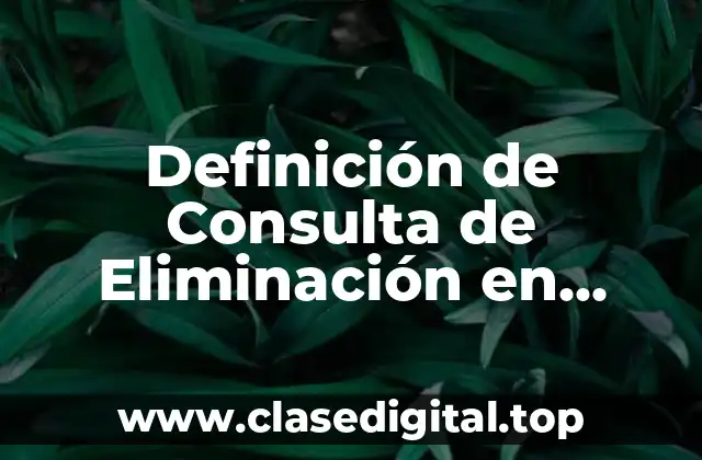 Definición de Consulta de Eliminación en Access
