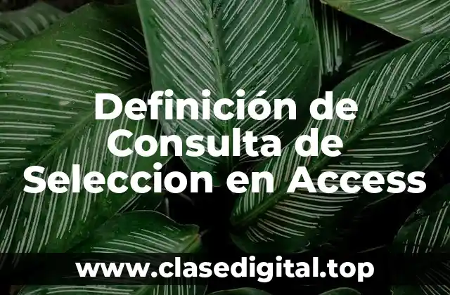 Definición técnica de Consulta de Seleccion en Access