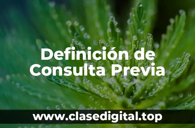 Definición de Consulta Previa