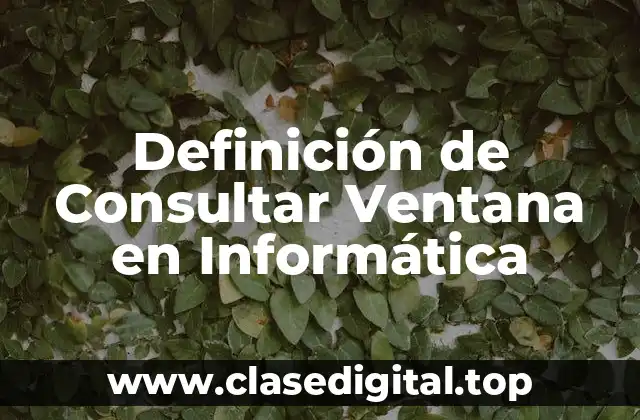 Definición de Consultar Ventana en Informática