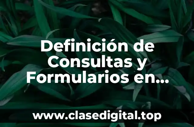 Definición de Consultas y Formularios en Informática