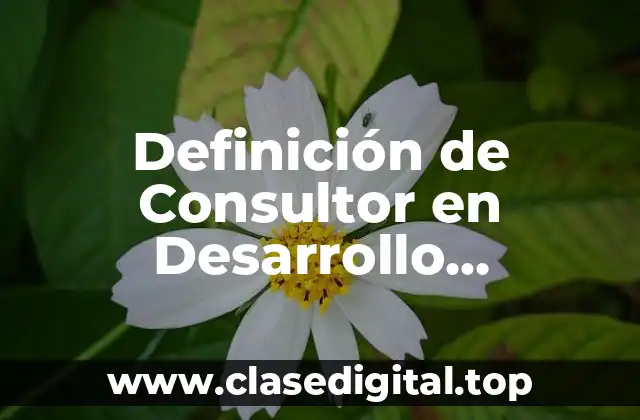 Definición de Consultor en Desarrollo Organizacional
