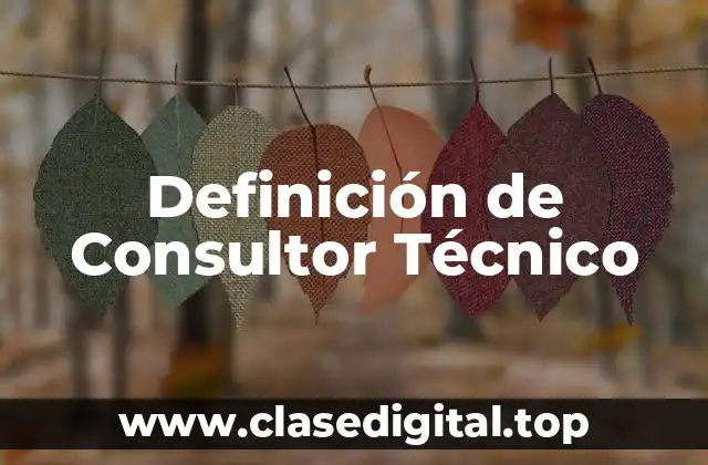 Definición de Consultor Técnico