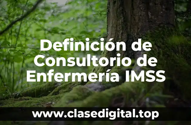Definición de Consultorio de Enfermería IMSS