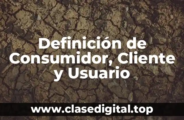 Definición de Consumidor, Cliente y Usuario