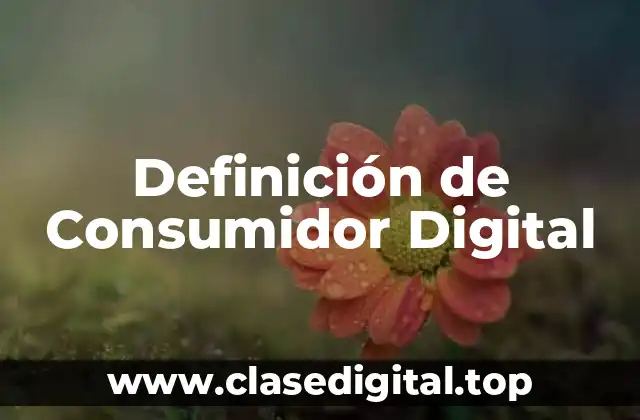Definición de Consumidor Digital