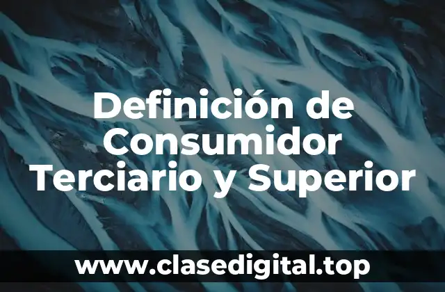 Definición de Consumidor Terciario y Superior