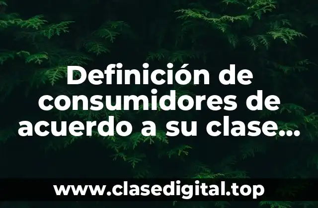 Definición de consumidores de acuerdo a su clase social