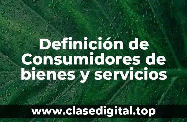 Definición de Consumidores de bienes y servicios