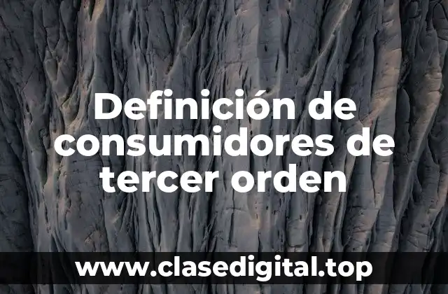 Definición de consumidores de tercer orden