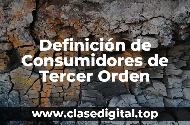 ¿Qué son los Consumidores de Tercer Orden?