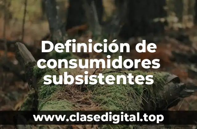 Definición de consumidores subsistentes