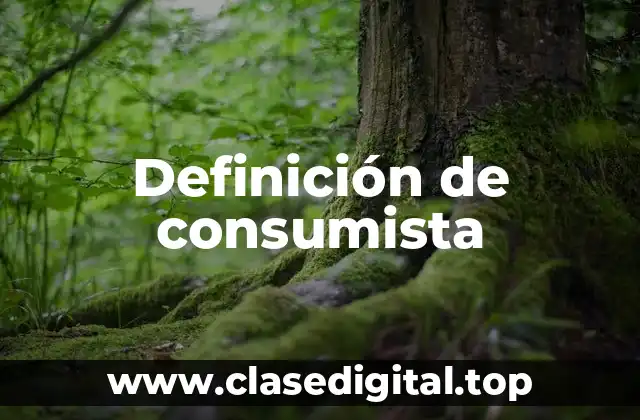 Definición de consumista
