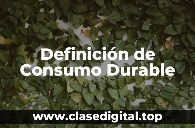 Definición de Consumo Durable