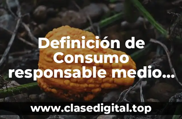 Definición de Consumo responsable medio ambiente
