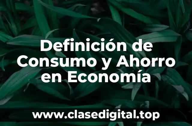 Definición de Consumo y Ahorro en Economía