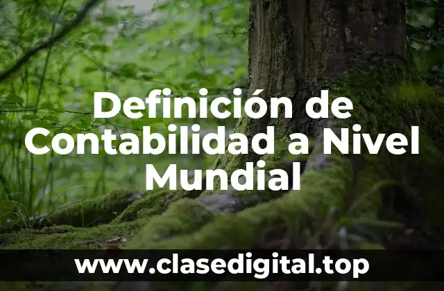 Definición Técnica de Contabilidad