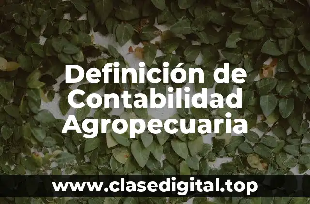 Definición Técnica de Contabilidad Agropecuaria