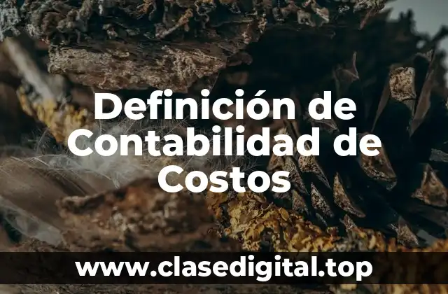 Definición de Contabilidad de Costos