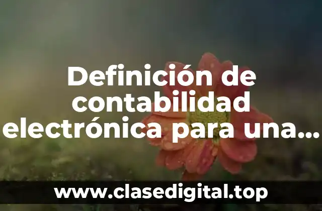 Definición de contabilidad electrónica para una clase