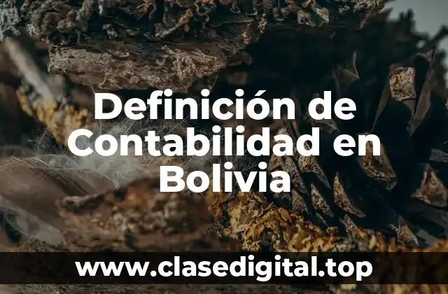 Definición de Contabilidad en Bolivia