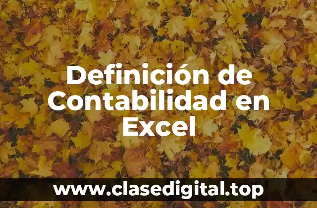 Definición de Contabilidad en Excel