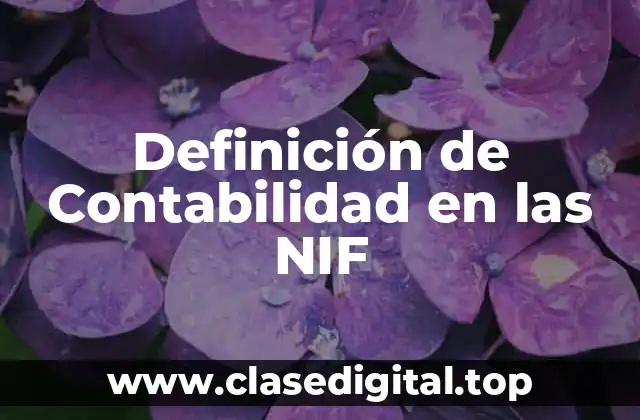 Definición de Contabilidad en las NIF