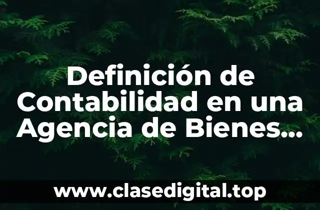 Definición de Contabilidad en una Agencia de Bienes Raíces