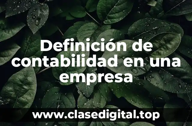 Definición de contabilidad en una empresa