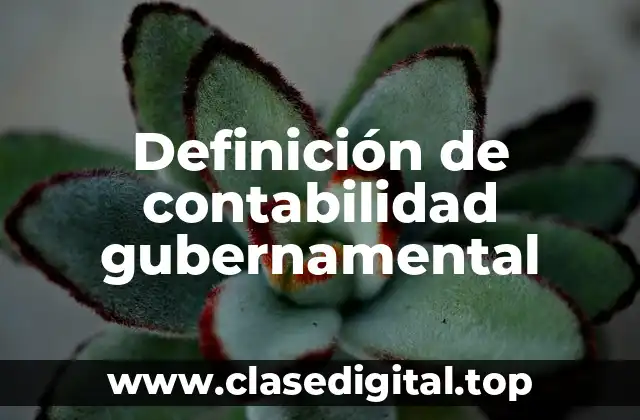 Definición de contabilidad gubernamental