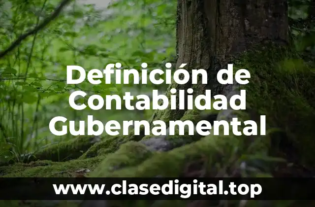 Definición de Contabilidad Gubernamental