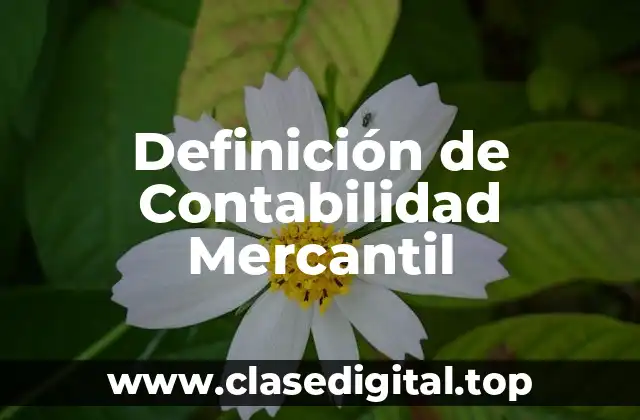 Definición de Contabilidad Mercantil