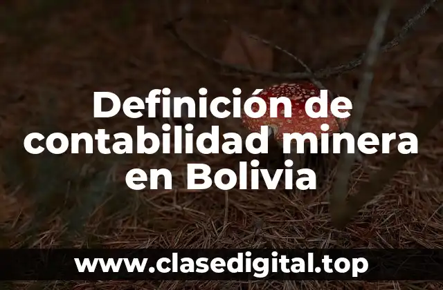 Definición de contabilidad minera en Bolivia