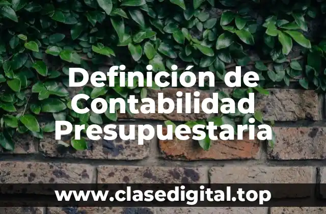 Definición de Contabilidad Presupuestaria