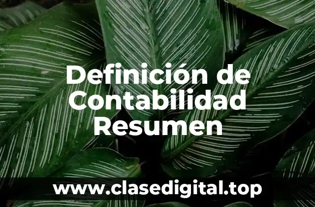 Definición de Contabilidad Resumen