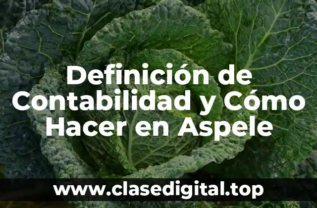 Definición de Contabilidad y Cómo Hacer en Aspele
