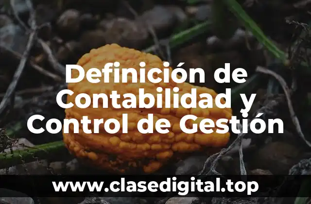 Definición de Contabilidad y Control de Gestión