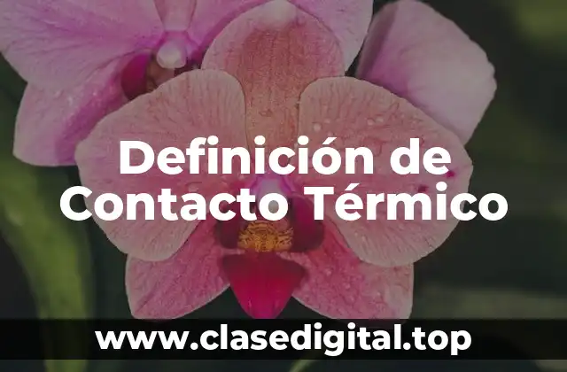 Definición de Contacto Térmico