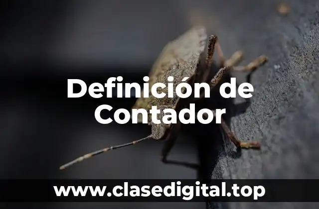📗 Definición técnica de Contador