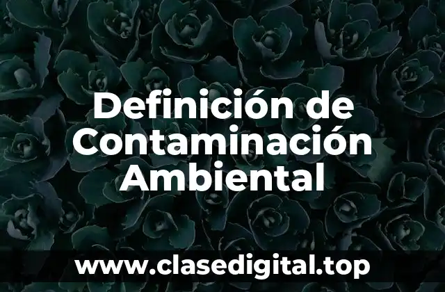Definición Técnica de Contaminación Ambiental