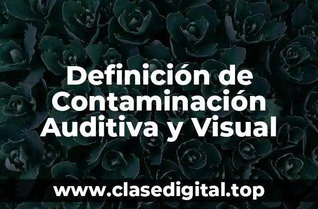 Definición de Contaminación Auditiva y Visual