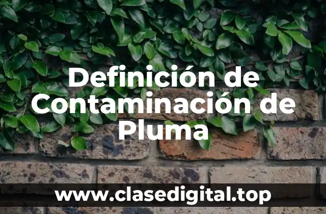 Definición de Contaminación de Pluma
