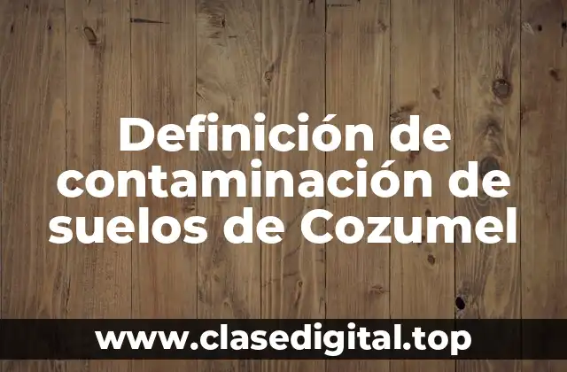 Definición de contaminación de suelos de Cozumel