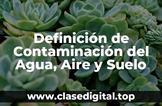 Definición de Contaminación del Agua, Aire y Suelo