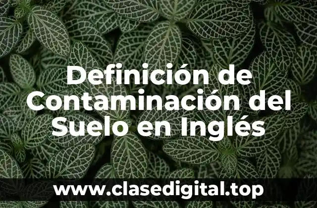 Definición de Contaminación del Suelo en Inglés