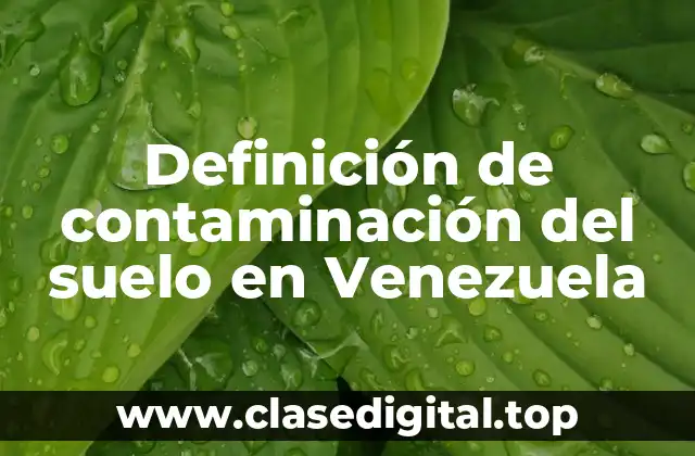 Definición de contaminación del suelo en Venezuela