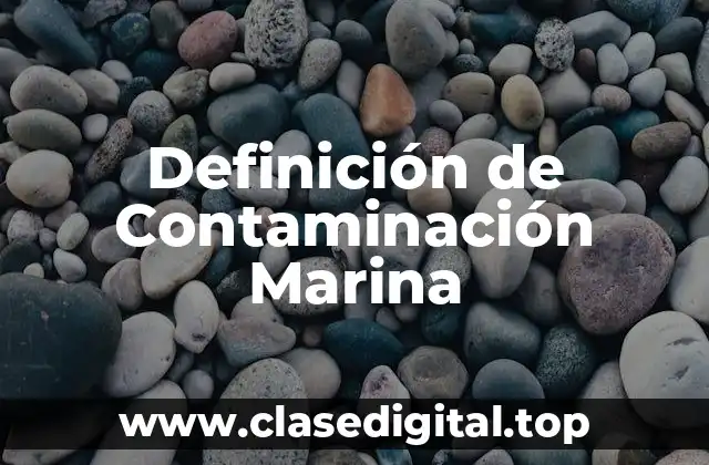 Definición de Contaminación Marina