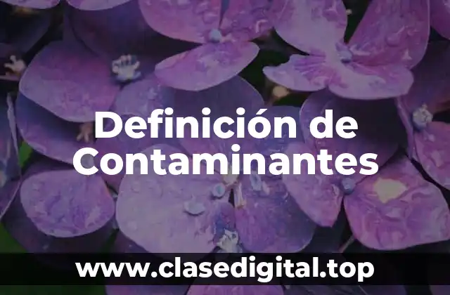 Definición técnica de Contaminante
