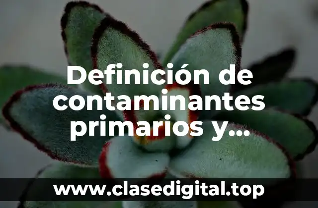 Ejemplos de contaminantes secundarios del aire